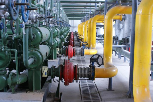 勝動集團 勝動集團