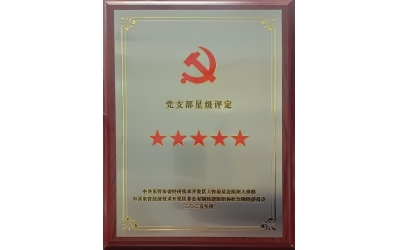 雙星閃耀映初心 黨建引領強發展&mdash;&mdash;勝動集團兩黨支部同獲五星級殊榮